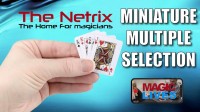 Craig Petty – Mini Multiple Selection (Netrix)