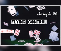 FLYING CONTROL by Joseph B (Instant Download)