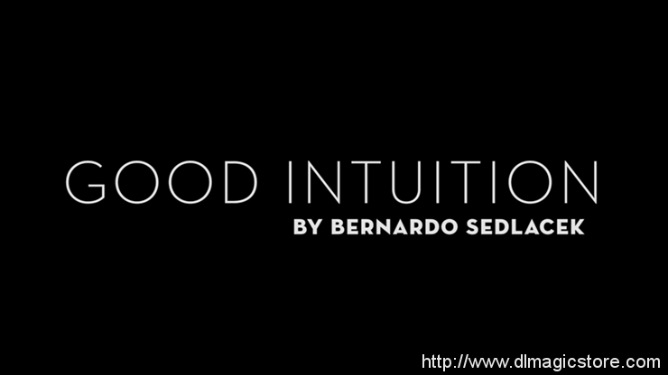 Good Intuition by Bernardo Sedlacek