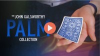 John Galsworthy – The Galsworthy Palm Collection