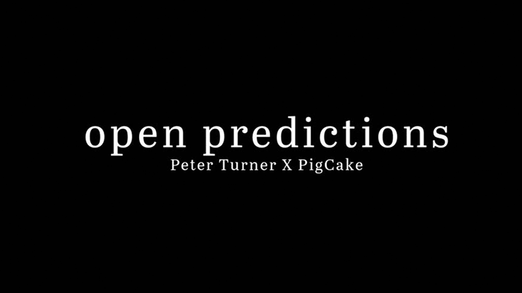 Open Prediction by Peter Turner X Pigcake