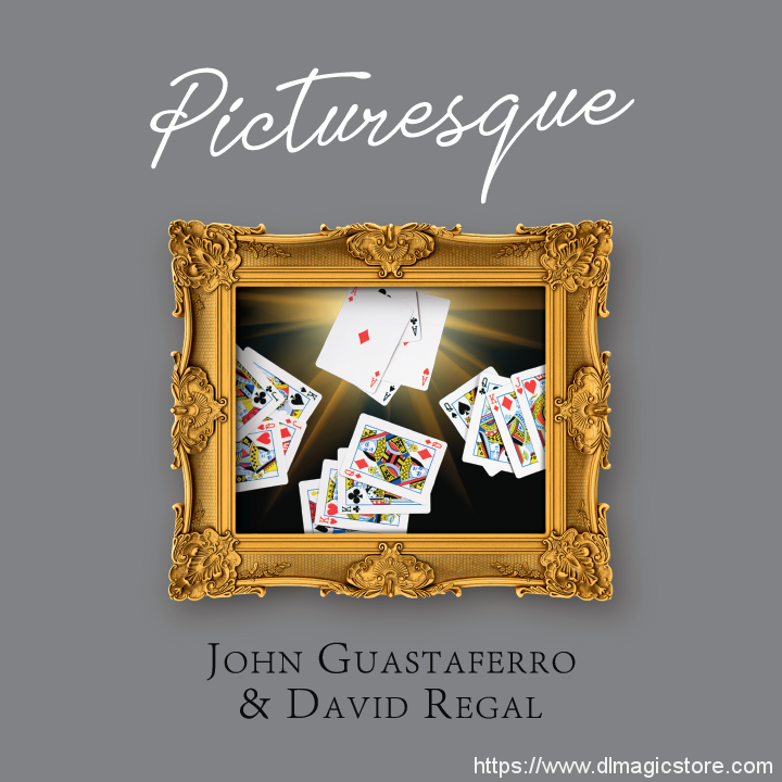 Picturesque by John Guastaferro & David Regal (Gimmick Not Included)