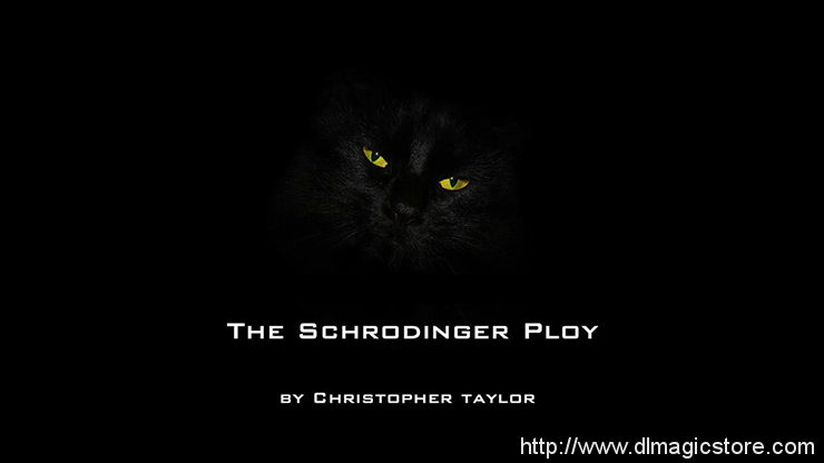 The Schrodinger Ploy by Christopher Taylor