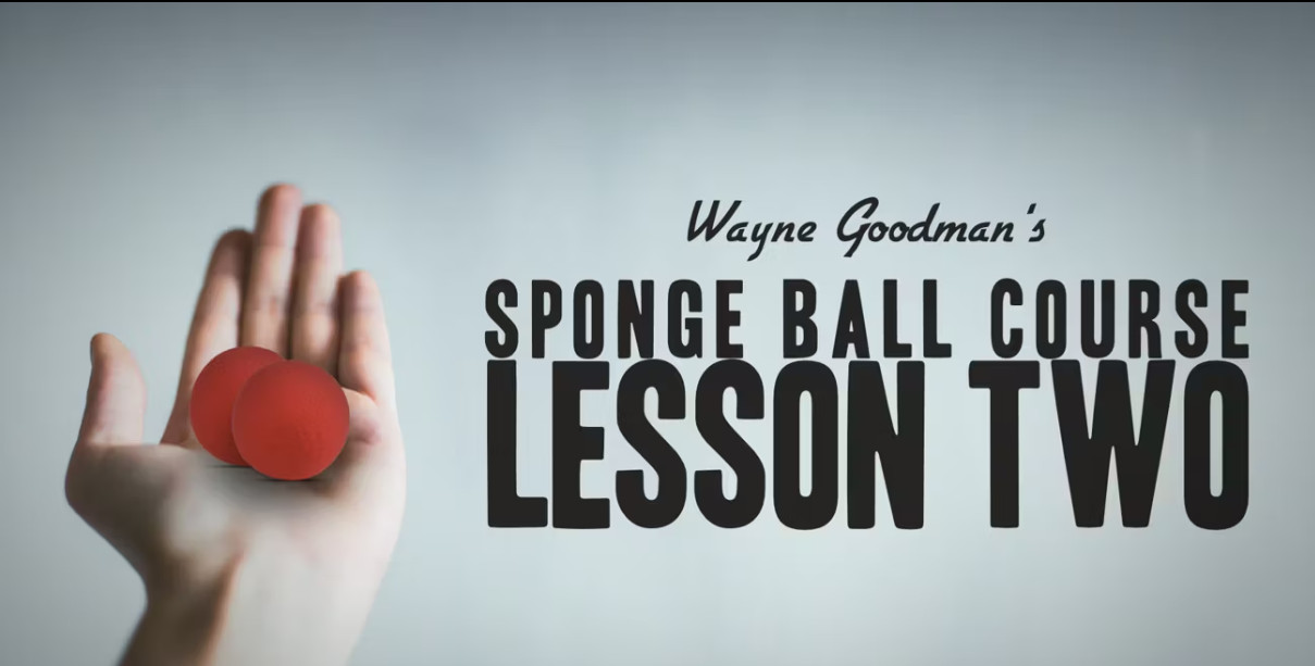 Wayne Goodman – Sponge Ball Course Lesson 2