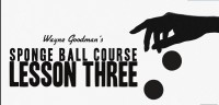 Wayne Goodman – Sponge Ball Course Lesson 3